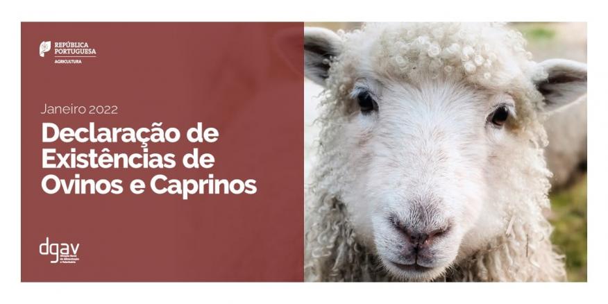 Declaração de Existências de Ovinos e Caprinos - Prazo limite Janeiro 2022