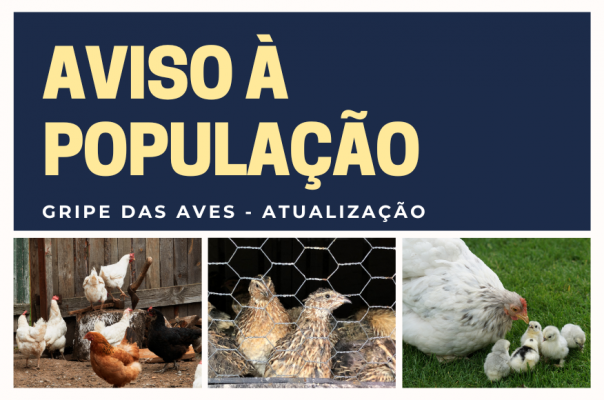 Aviso à População - Gripe Aviária