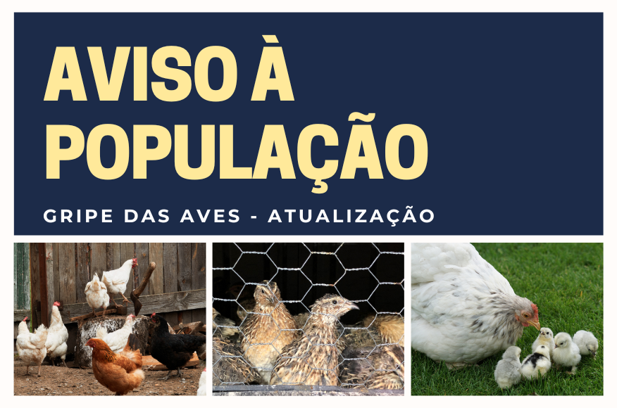 Aviso à População - Gripe Aviária